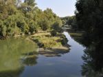 Správa lesov na bratislavskom ostrove Sihoť zostáva zatiaľ nezmenená