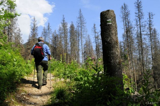 Na Borkút sa turisti aj cyklisti dostanú novoupraveným chodníkom