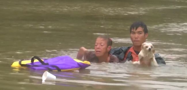 Video: Neskutočná záchrana ženy a jej psa z topiaceho sa auta