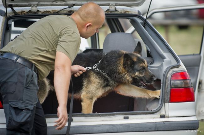 Policajný pes objavil v Holandsku vyše milión eur v kufri auta