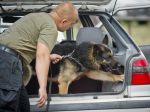 Policajný pes objavil v Holandsku vyše milión eur v kufri auta