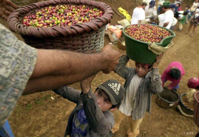 Záujem Slovákov o fairtrade výrobky stúpa, najviac sa predáva káva