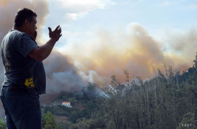 Lesný požiar v Čiernej Hore ohrozuje niekoľkostoročné olivovníky