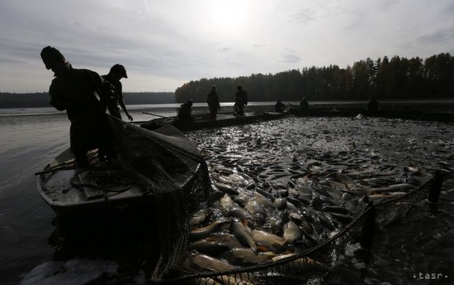 Brusel navrhuje zvýšenie kvót výlovu v Baltickom mori