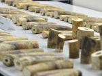 Polícia v Nemecku zhabala rekordné množstvo slonoviny