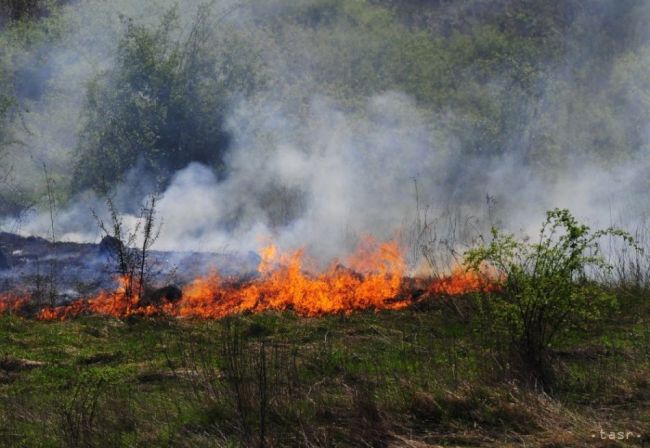 Bulhari obviňujú migrantov z podpálenia lesa v pohraničí