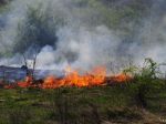 Bulhari obviňujú migrantov z podpálenia lesa v pohraničí