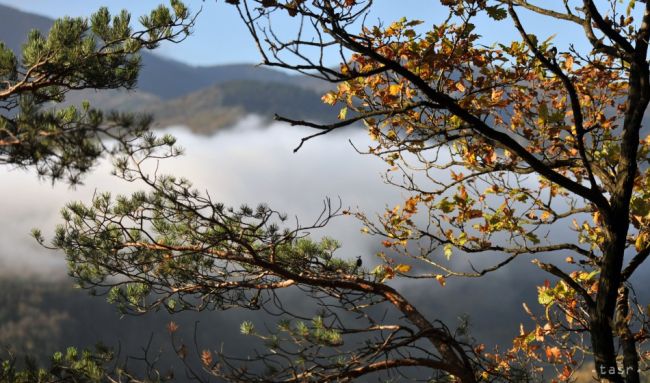 Najkrajšie chotáre roku 2016 sú na Považí a Liptove