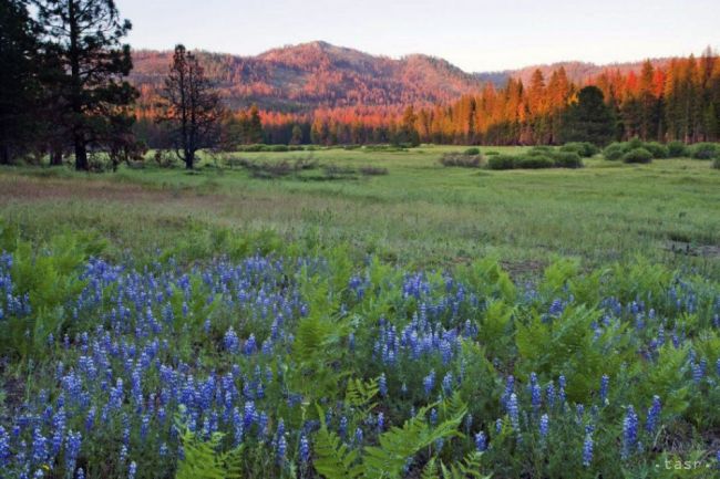Yosemitský národný park čaká najväčšie rozšírene od roku 1949
