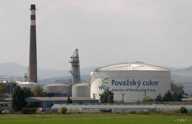 Považský cukor Trenčianska Teplá rozbieha cukrovarnícku kampaň
