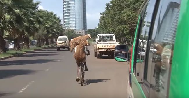 Video: Čaro dopravy v Etiópii