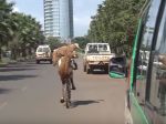 Video: Čaro dopravy v Etiópii
