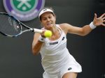 Tenis: Tokio neuvidí česko-slovenské finále