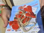 Rallye Krištáľové krídlo s Matadorom pomôže ľuďom s postihnutím