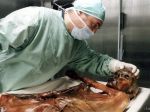 Ľadového muža Ötziho objavili pred 25 rokmi