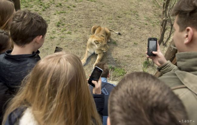 Zoologická záhrada v Spišskej Novej Vsi zažíva najlepšiu sezónu