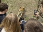 Zoologická záhrada v Spišskej Novej Vsi zažíva najlepšiu sezónu