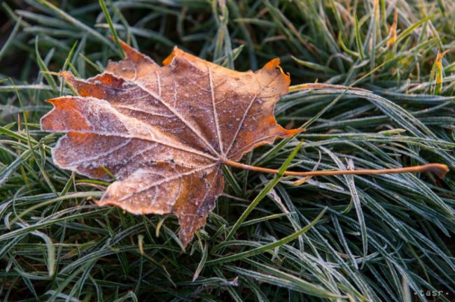 Slovensko zasiahnu prvé prízemné mrazy, môžu byť až 4 stupne pod nulou