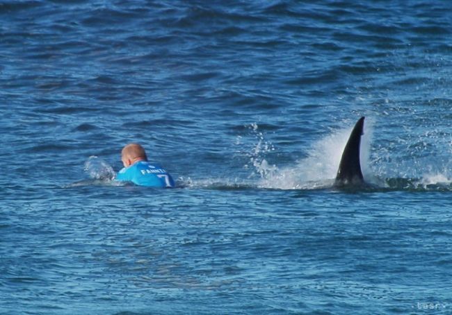 Mladíka napadol žralok v Austrálii, kde vlani zahynul surfista