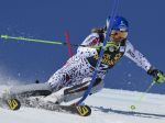 Alpský úsek tvrdí, že slovenská lyžiarska asociácia má konať