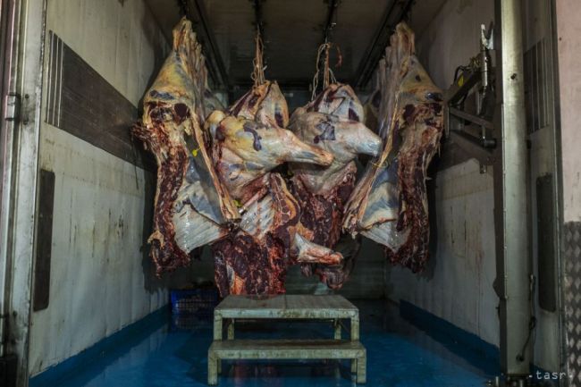AGRO: Púchovský mäsový priemysel dodáva reťazcom až 80 % svojej produk