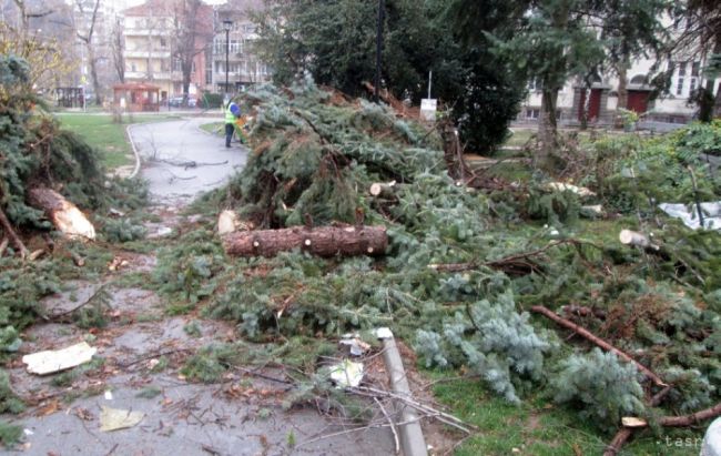 Víchrica pripravila východniarov o elektrinu a polámala stromy