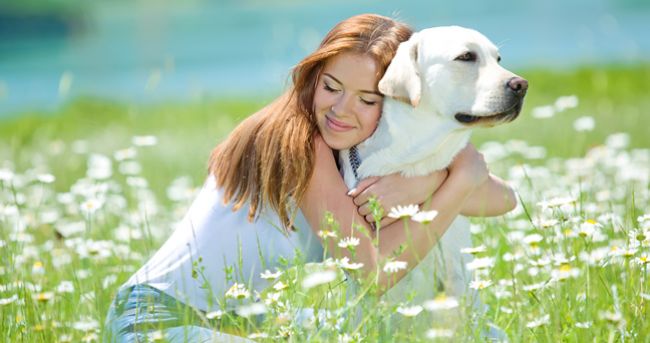6 vecí, ktoré z nás dokážu psy vycítiť