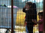 Grécko otvorilo centrum pre maloletých migrantov bez sprievodu