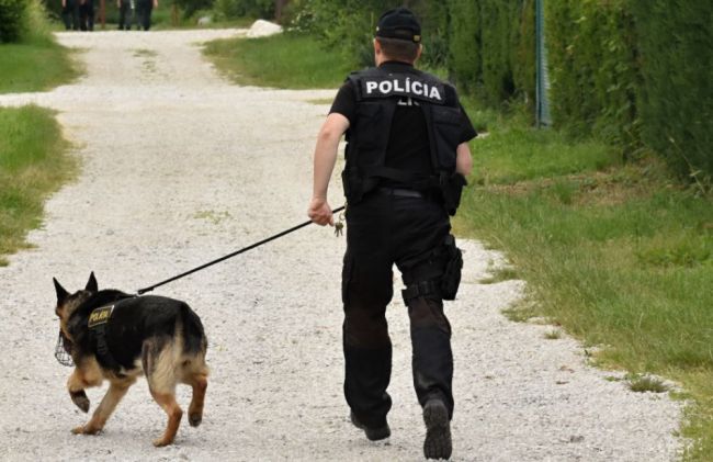 Pátracia akcia na Liptove sa skončila tragicky, muža našli mŕtveho