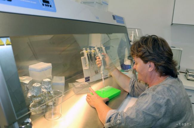 Slovenskí mykológovia majú laboratórium na skúmanie DNA húb