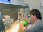 Slovenskí mykológovia majú laboratórium na skúmanie DNA húb