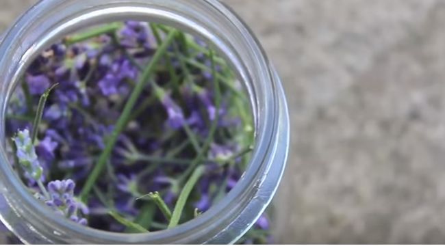 Video: Vyrobte si vlastný levanduľový a mätový olej