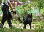 Salzburg bol hore nohami, pátralo sa po mužovi, ktorý strieľal na policajtov