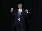 Víťazom amerických prezidentských volieb sa stal Donald Trump