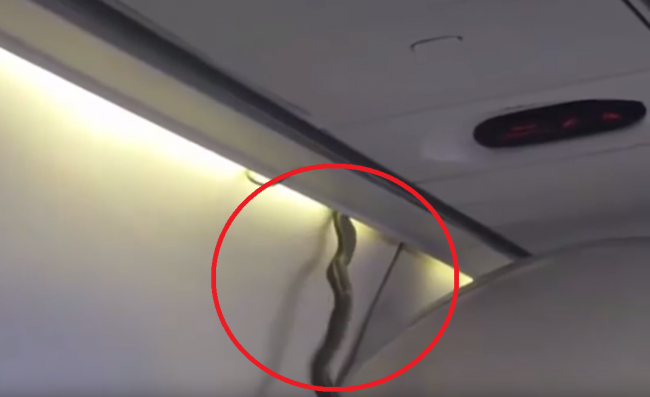 Video: Pasažieri lietadla prežili horor ako z filmu