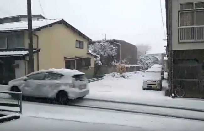 Video: V Tokiu padal novembrový sneh prvýkrát za 54 rokov