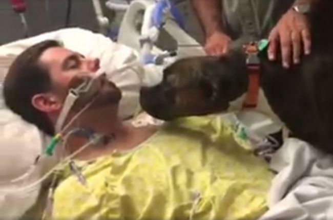 Video: Psík sa prišiel do nemocnice rozlúčiť s majiteľom
