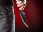 Útočník zranil nožom 12 škôlkarov