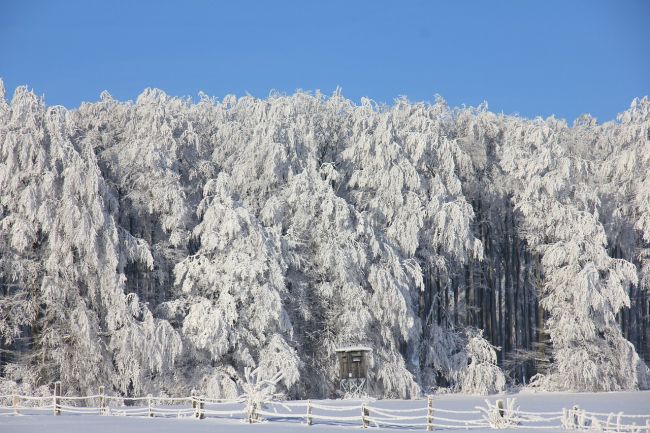 SHMÚ: Na krajnom východe Slovenska môže napadnúť až do 50 cm nového snehu