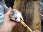 Video: Šikovný spôsob ako očistiť rybu od vnútorností