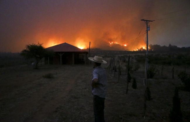 Požiare v Čile spustošili územia s rozlohou 370.000 hektárov