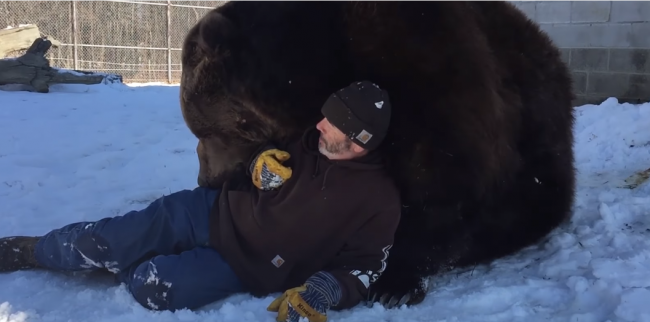 Video: Medvedie objatie, aké sa len tak nevidí