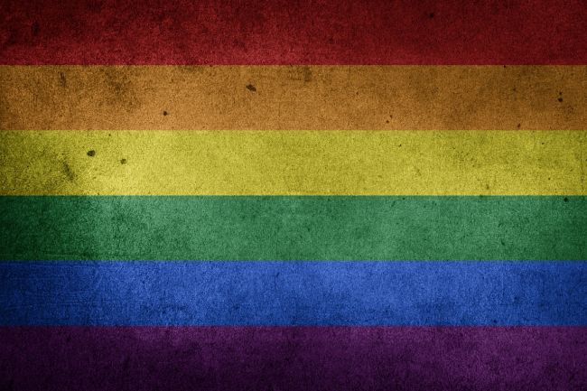 Komisár vyzval 20 štátov, aby umožnili homosexuálom registrované partnerstvá