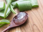 Ako schudnúť s aloe vera: 5 receptov