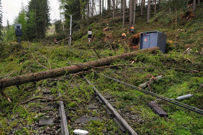 Takmer 2000 stromov vo Vysokých Tatrách neodolalo náporom vetra