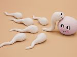 12 vecí, ktoré môžu ovplyvniť kvalitu spermií