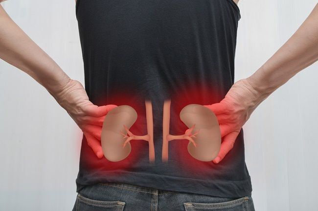 Svetový deň obličiek je tento rok venovaný obezite