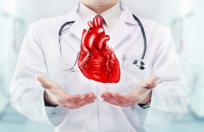 Video: Vedci vypestovali zo špenátu srdcový sval 