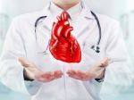 Video: Vedci vypestovali zo špenátu srdcový sval 