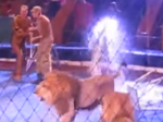 Video: Tu je dôvod nato, prečo divoké zvieratá nepatria do cirkusu
